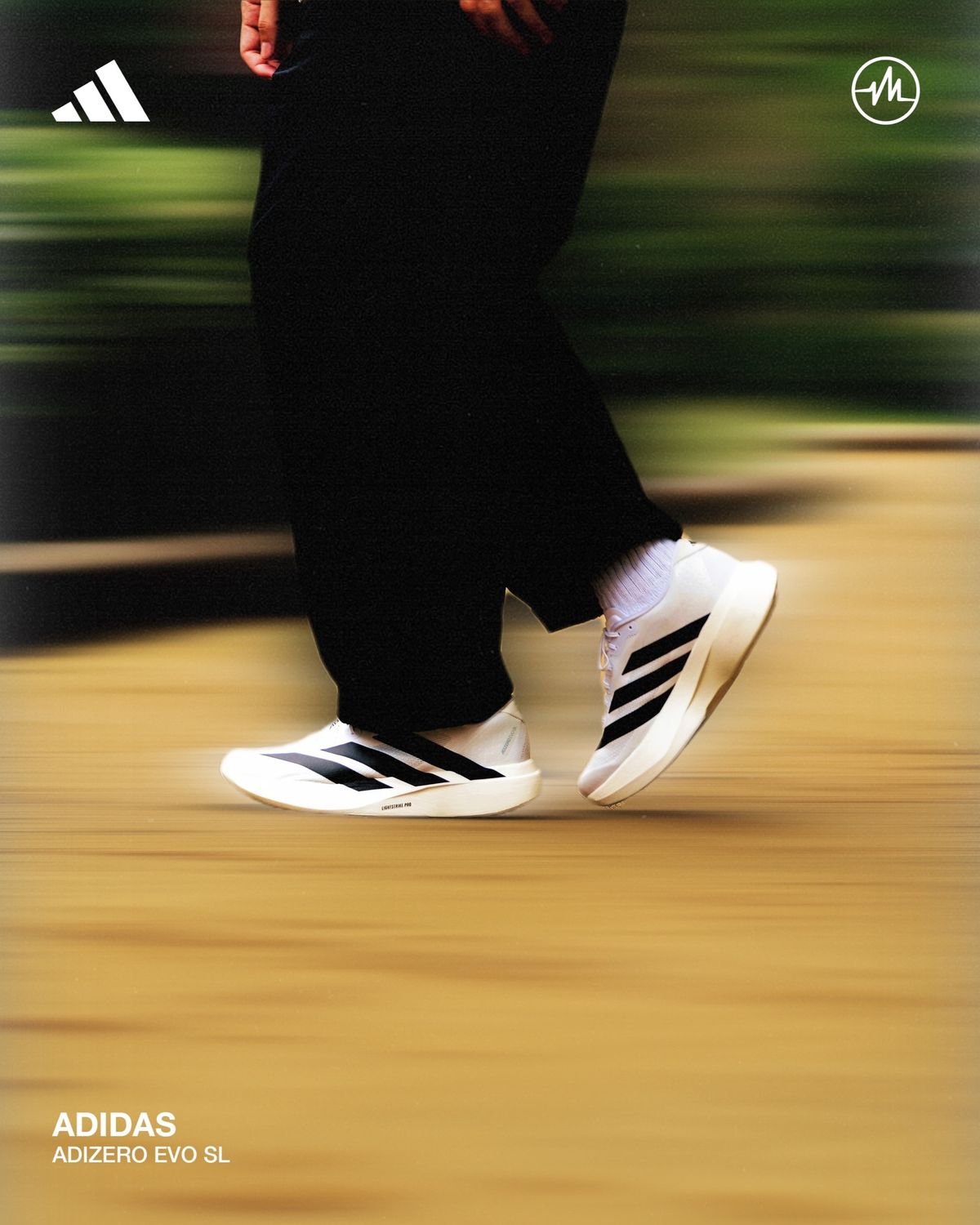 Adidas Adizero Evo SL White